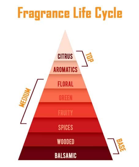 fragrance lift cycle